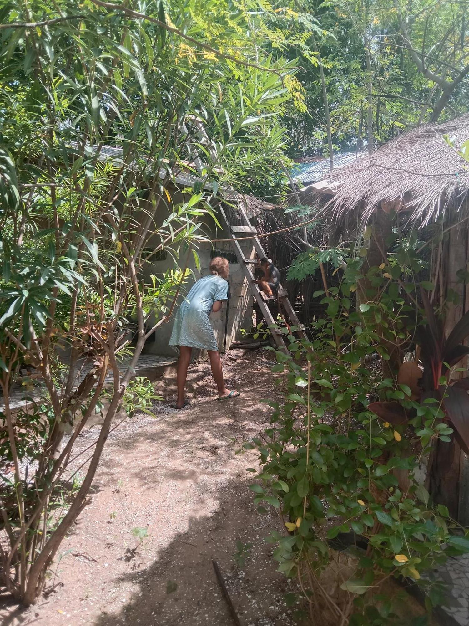 Villa Chez Bethy & Baboulaye Jungle Et Ocean Abémé Exterior foto